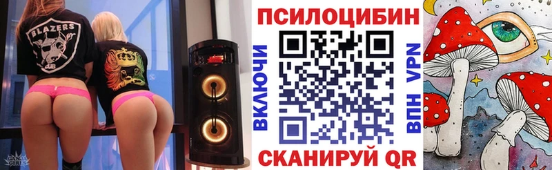 Купить где  Дыгулыбгей  Псилоцибиновые грибы Psilocybine cubensis 